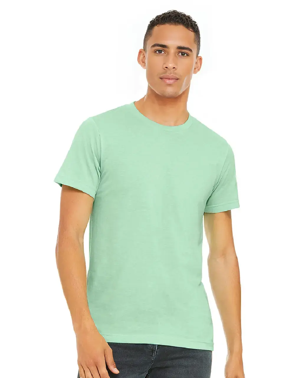 Bella Canvas 3001 Jersey Tee - Iris DTF