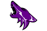 Anna-Coyotes - Görsel 1