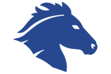 Houston-Briarwood-Mustangs - Görsel 1