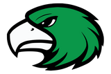 Lake-Dallas-Falcons - Görsel 1