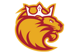 Lubbock-Christ-The-King-Cathedral-Golden-Lions - Görsel 1