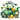 Happy St. Patrick's Day Cool Gnome Design | Iris DTF