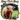 Hay Girl Hay Cow Design - DTF Ready To Press