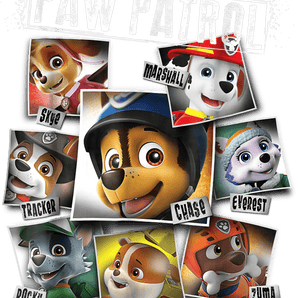 Paw Patrol Party Design - DTF Ready To Press