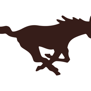 Fort-Hancock-Mustangs - Görsel 1