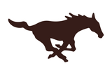 Fort-Hancock-Mustangs - Görsel 1