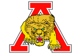 Albany-Lions - Görsel 1