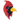 Amarillo-Ascension-Cardinals - Görsel 1