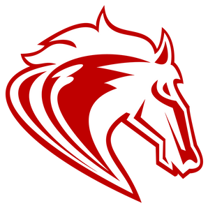 Amarillo-Holy-Cross-Catholic-Mustangs - Görsel 1