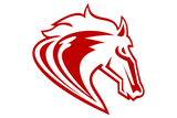 Amarillo-Holy-Cross-Catholic-Mustangs - Görsel 1