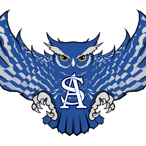 Anderson-Shiro-Fighting-Owls - Görsel 1