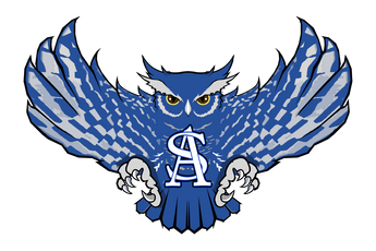 Anderson-Shiro-Fighting-Owls - Görsel 1