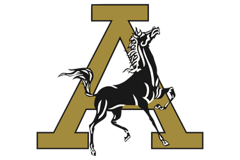 Andrews-Mustangs - Görsel 1