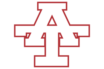 Anson-Tigers - Görsel 3