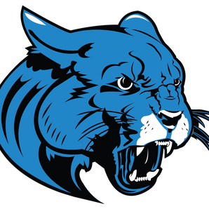 Arlington-Seguin-Cougars - Görsel 1