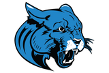 Arlington-Seguin-Cougars - Görsel 1
