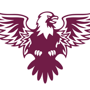 Arlington-Uplift-Summit-International-Skyhawks - Görsel 1