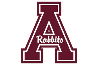 Atlanta-Rabbits - Görsel 1