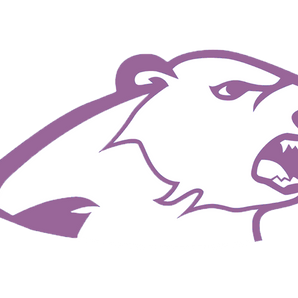 Austin-Achieve-Polar-Bears - Görsel 1