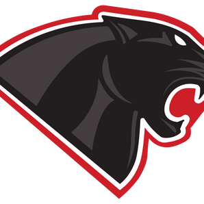 Austin-Hyde-Park-Panthers - Görsel 1