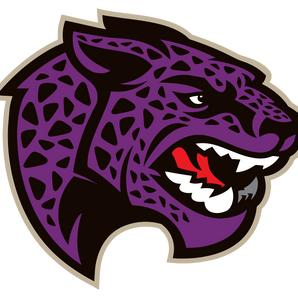 Austin-Johnson-Jaguars - Görsel 1