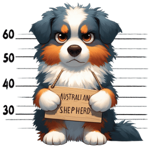 Australian Shepherd Dog Mom Design | Iris DTF
