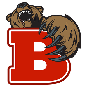 Baird-Bears - Görsel 1
