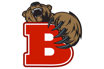 Baird-Bears - Görsel 1