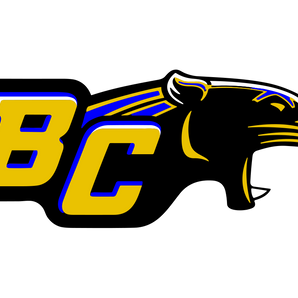 Bay-City-Blackcats - Görsel 1