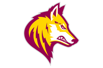Beaumont-United-Timberwolves - Görsel 1