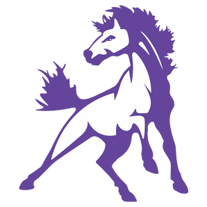 Benjamin-Mustangs - Görsel 1