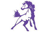 Benjamin-Mustangs - Görsel 1