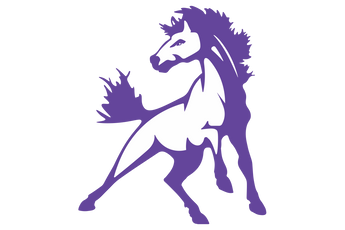 Benjamin-Mustangs - Görsel 1