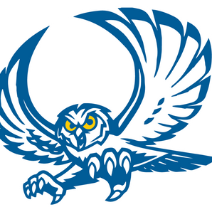 Big-Lake-Reagan-County-Owls - Görsel 1
