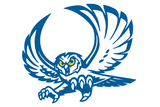 Big-Lake-Reagan-County-Owls - Görsel 1