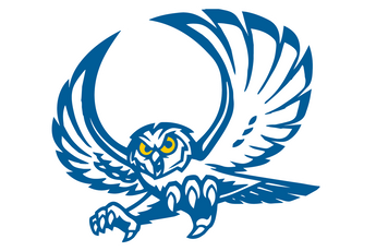 Big-Lake-Reagan-County-Owls - Görsel 1