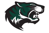 Blue-Ridge-Tigers - Görsel 2