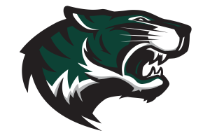 Blue-Ridge-Tigers - Görsel 2