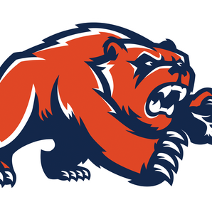 Bridgeland-Bears - Görsel 1