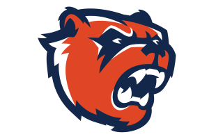 Bridgeland-Bears - Görsel 3