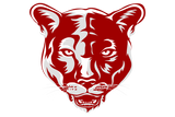 Briscoe-Fort-Elliott-Cougars - Görsel 1