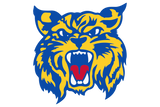 Brookeland-Wildcats - Görsel 1