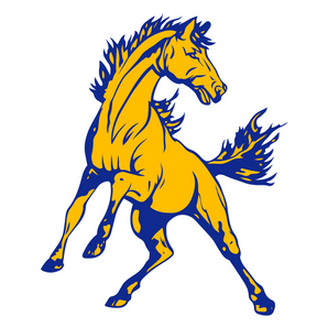Brookesmith-Mustangs - Görsel 1