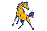 Brookesmith-Mustangs - Görsel 1