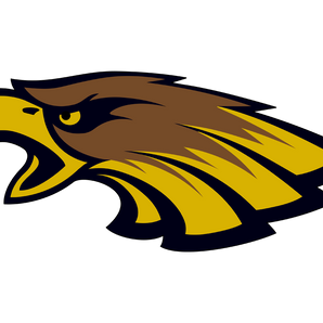 Brownsville-Hanna-Golden-Eagles - Görsel 1