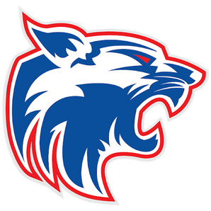 Brownsville-Harmony-Wildcats - Görsel 1
