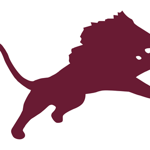 Brownwood-Lions - Görsel 1
