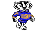Bruni-Badgers - Görsel 1