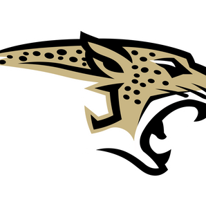 Buda-Johnson-Jaguars - Görsel 1