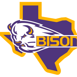 Buffalo-Bison - Görsel 1